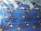 Perdea pentru dus 180*170 (delfin) Perdea pentru dus 180*170 (delfin)