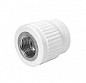Mufa PPR 25*1/2F Mufa PPR 25*1/2F